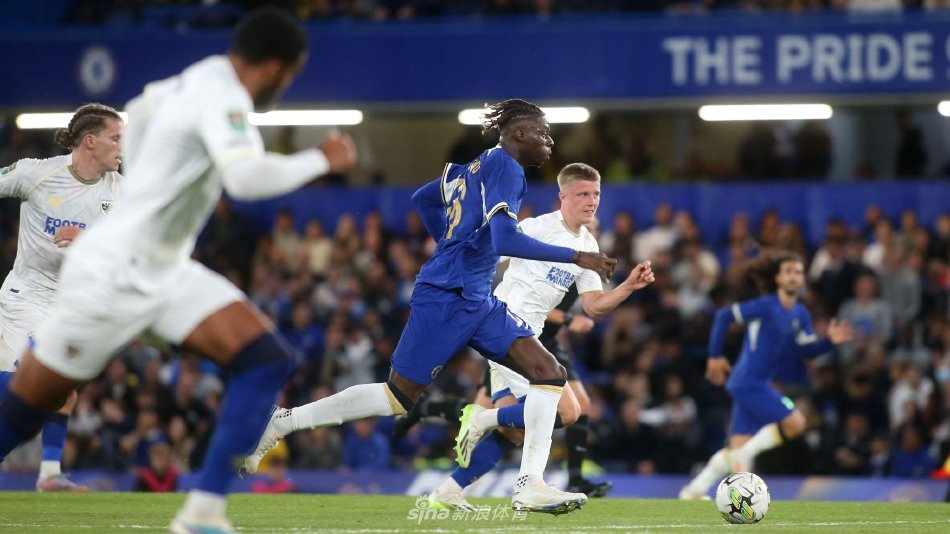 顽强拼搏的 顽强拼搏的